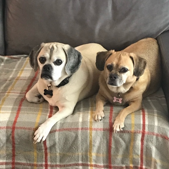 Meet your Posher, Jennifer - Picture 4 of 5